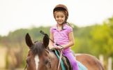 PU Leather Horse Riding Crop