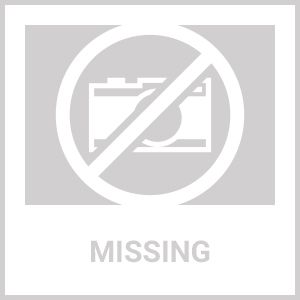 Air tank filling valve Pressure relief filling valve Outdoor tools Air